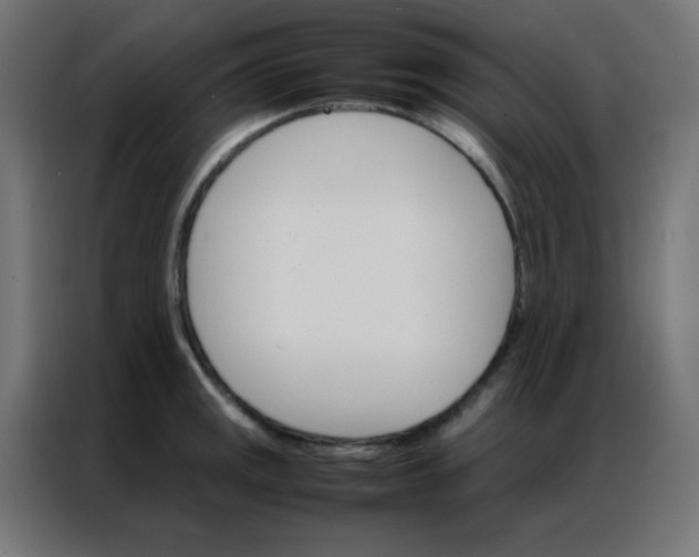 X0000086791141200705041543