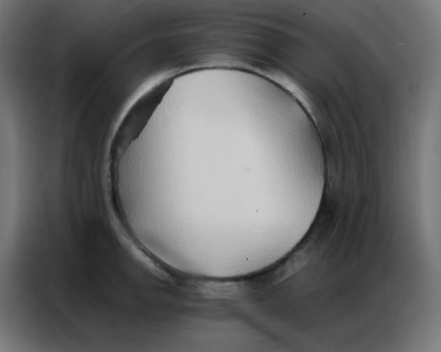 X0000086791142200705041543