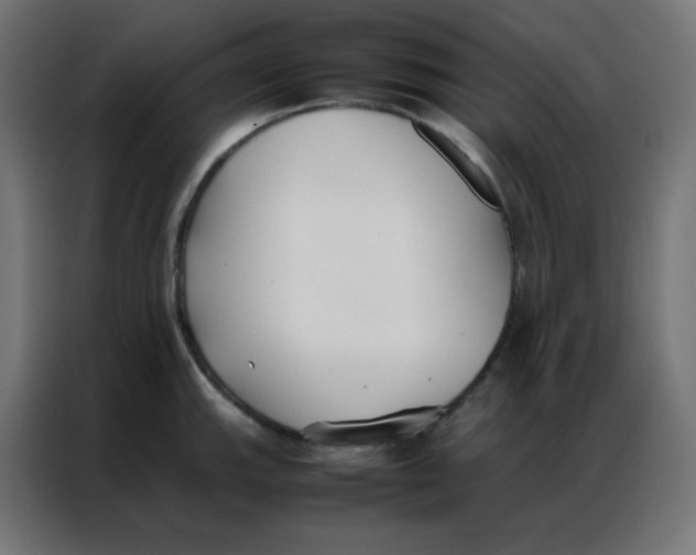 X0000086791143200705041543