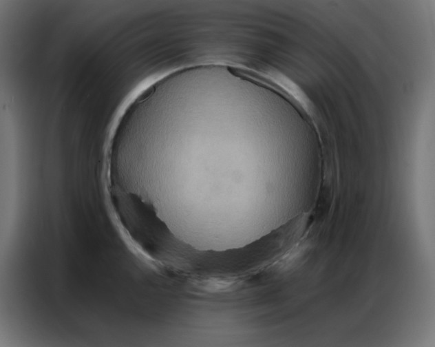 X0000086791144200705041543