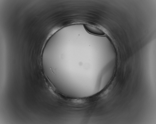 X0000086791145200705041543