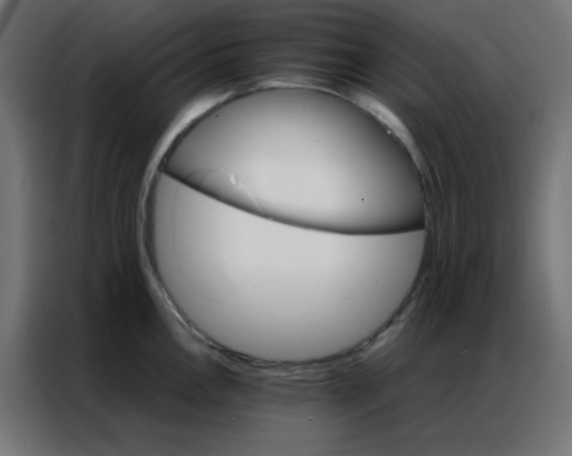 X0000086791146200705041543