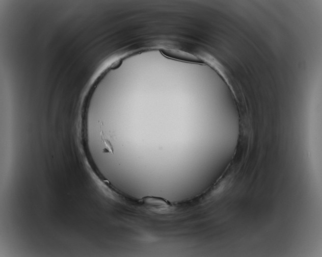 X0000086791147200705041543