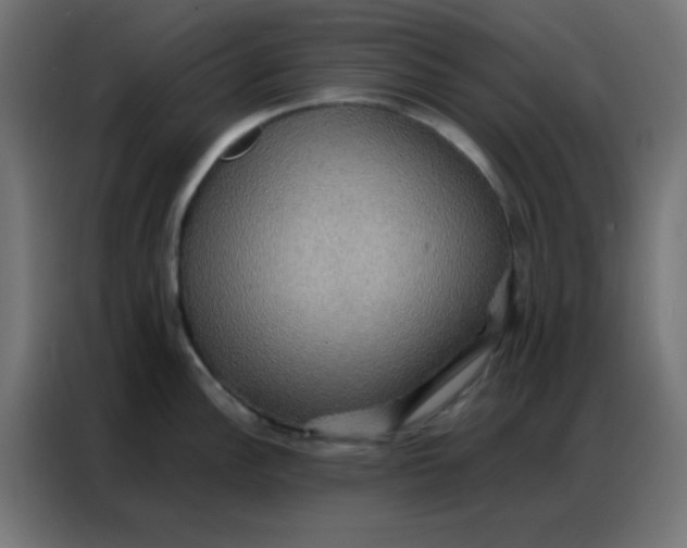 X0000086791148200705041543