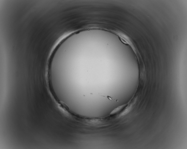 X0000086791149200705041543