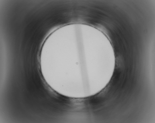 X0000086791150200705041543