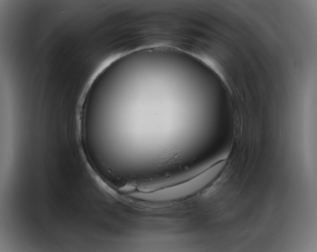 X0000086791151200705041543