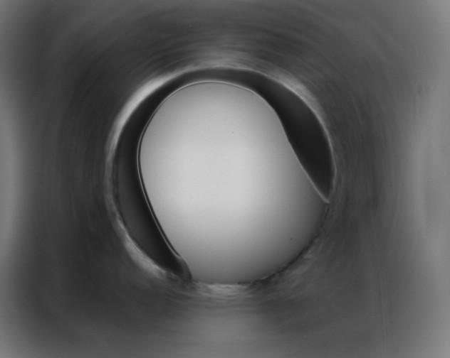 X0000086791152200705041543