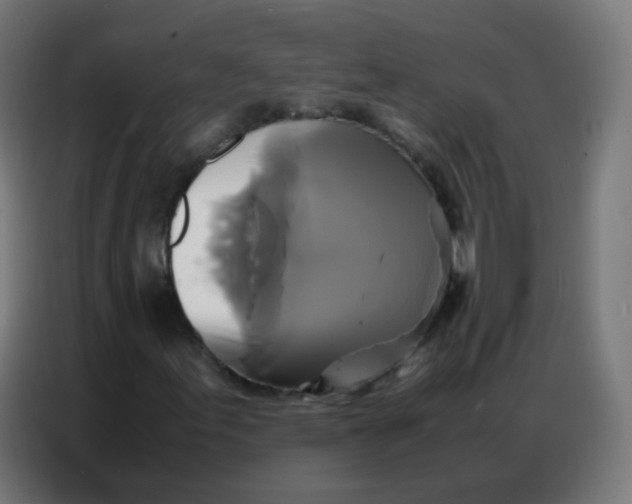 X0000086791155200705041542