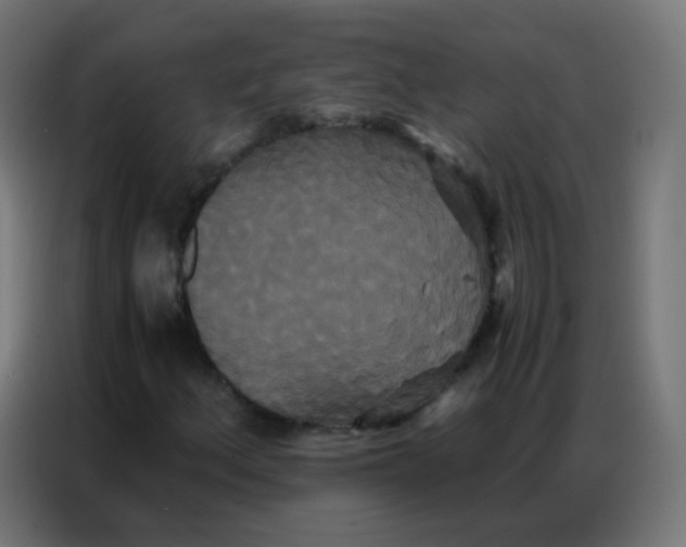 X0000086791156200705041542