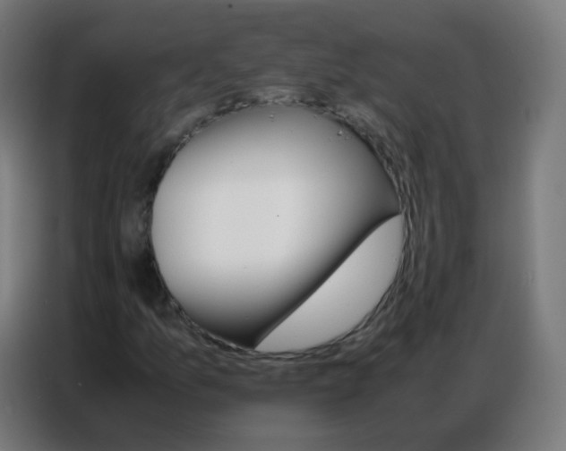 X0000086791157200705041542