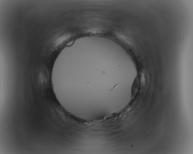 X0000086791158200705041542