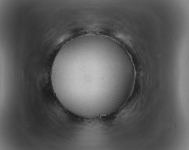 X0000086791159200705041542