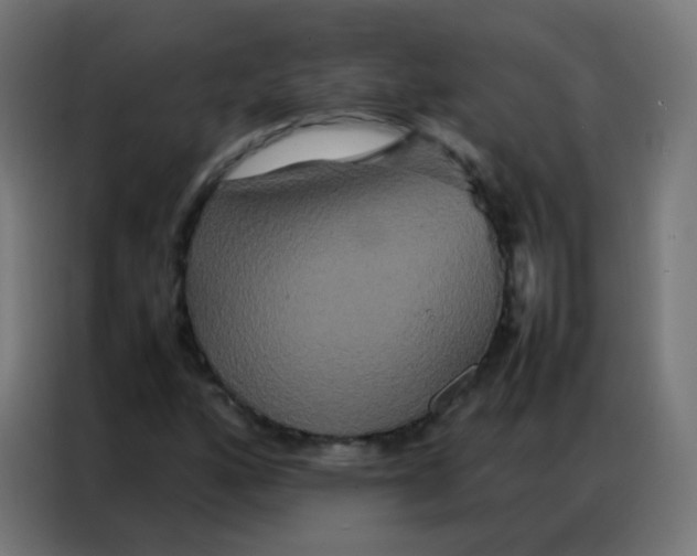 X0000086791160200705041542