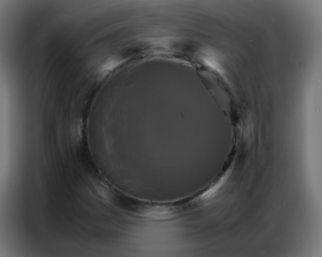 X0000086791161200705041542