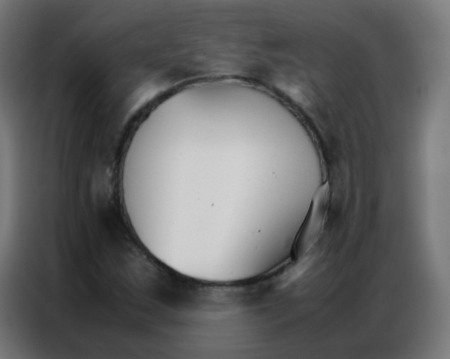 X0000086791163200705041542