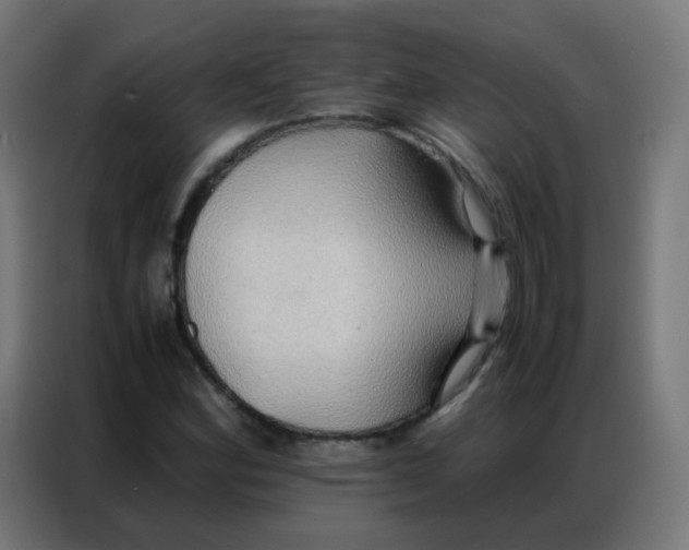 X0000086791164200705041542