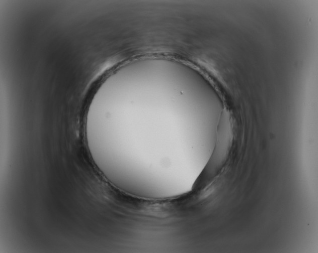 X0000086791165200705041542