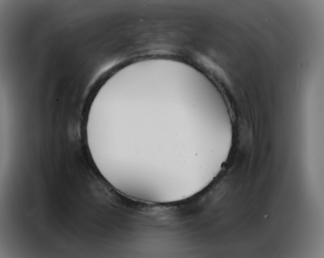 X0000086791166200705041542