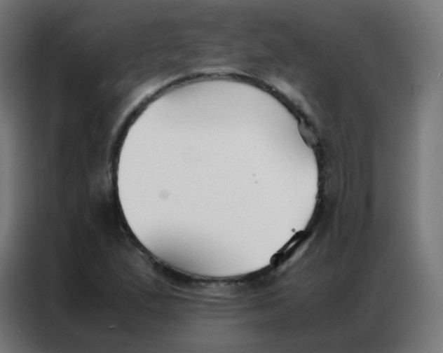 X0000086791167200705041542