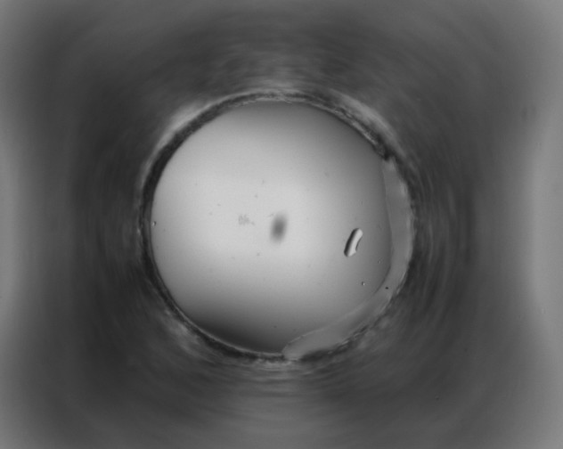 X0000086791168200705041542