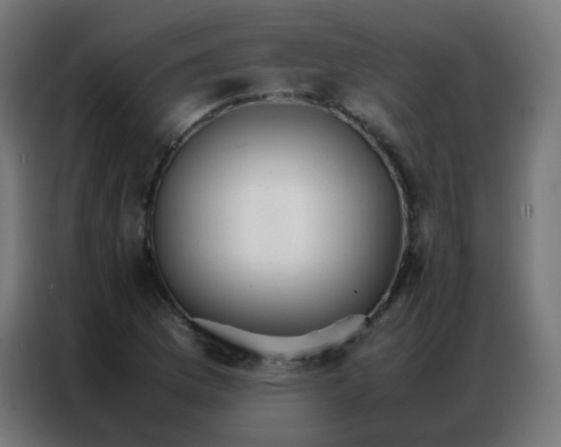 X0000086791169200705041542