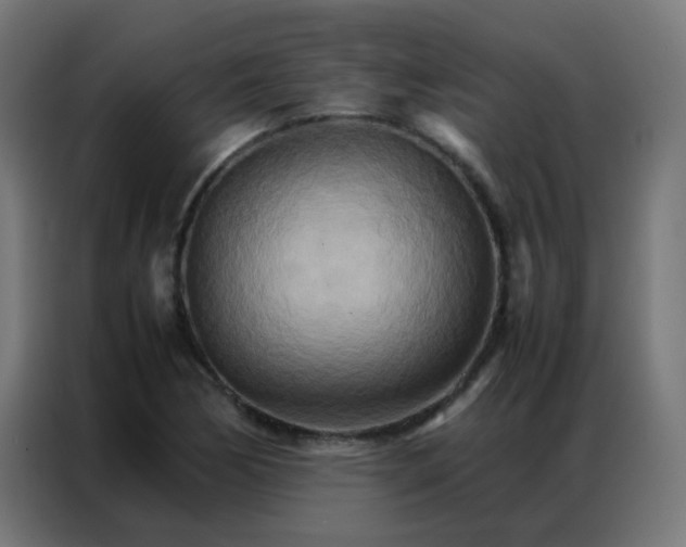 X0000086791170200705041542