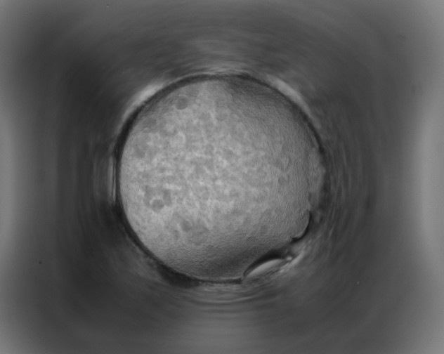 X0000086791171200705041542