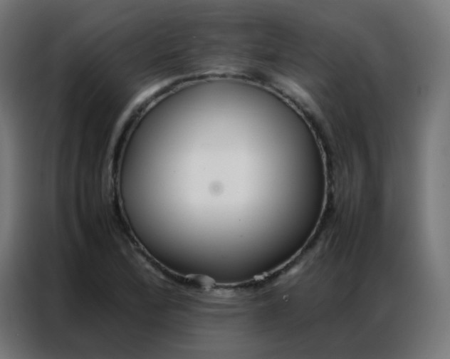 X0000086791172200705041542