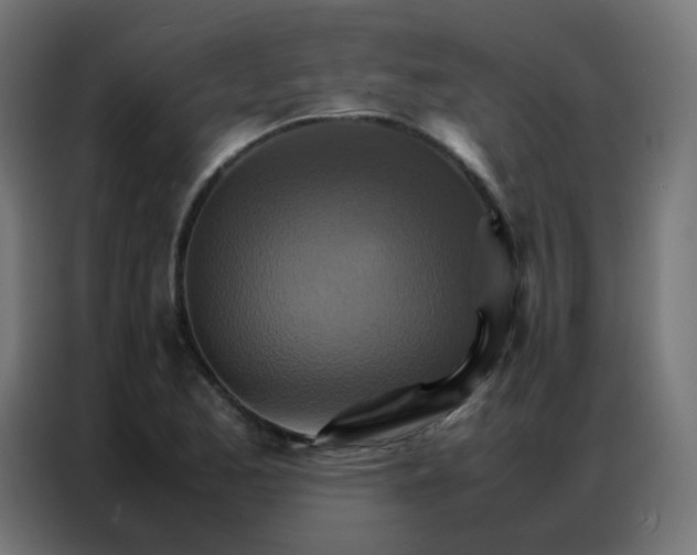 X0000086791173200705041542