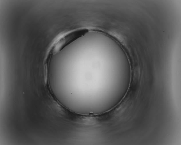 X0000086791175200705041542