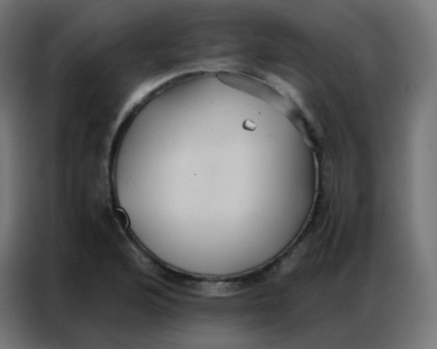 X0000086791176200705041542