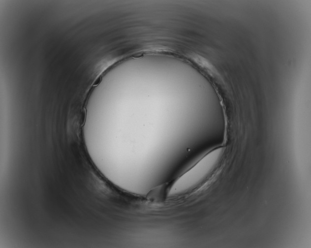 X0000086791177200705041542