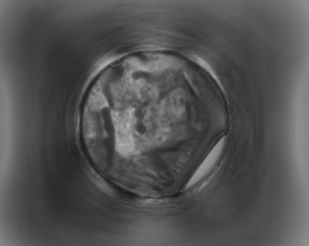 X0000086791179200705041542