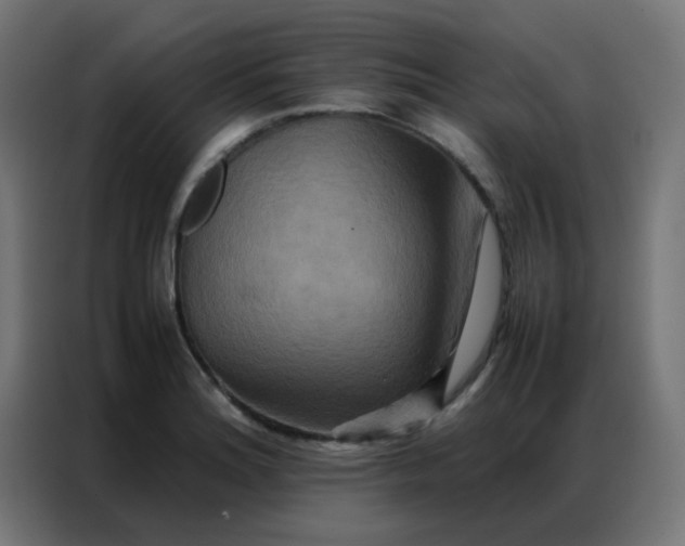 X0000086791180200705041542