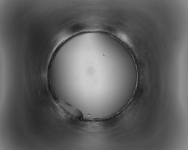 X0000086791181200705041542