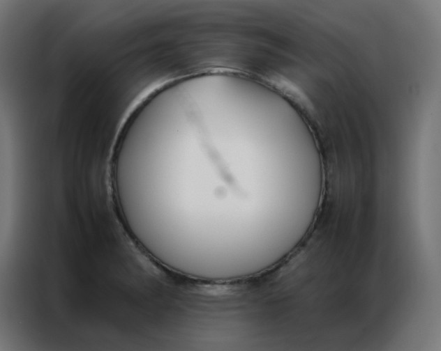 X0000086791182200705041542