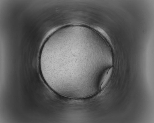 X0000086791183200705041542