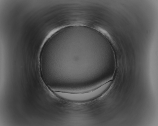 X0000086791184200705041542