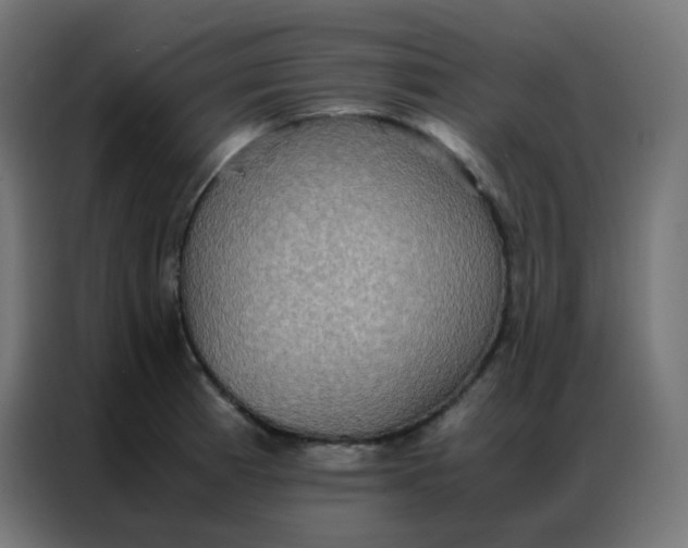 X0000086791185200705041542