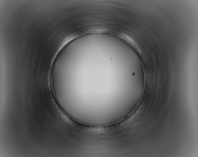 X0000086791186200705041542