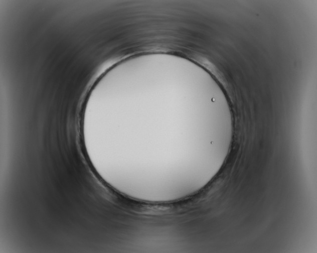 X0000086791187200705041542