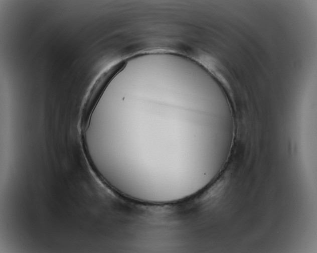 X0000086791189200705041542