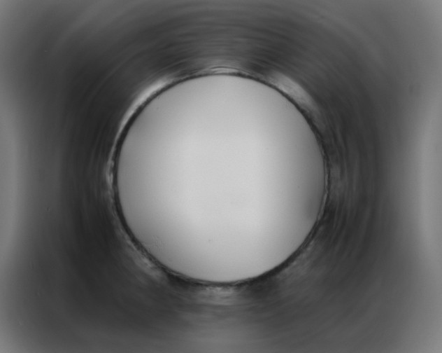 X0000086791190200705041542