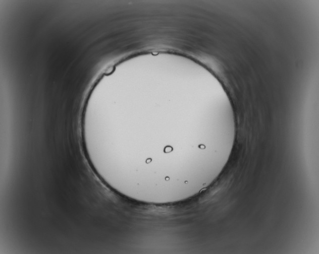 X0000086791191200705041542