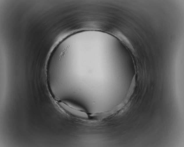 X0000086791192200705041542