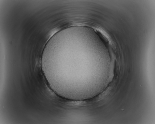 X0000086791193200705041542