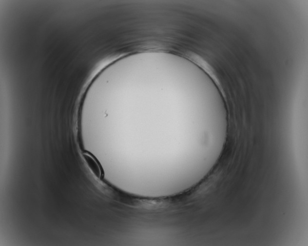 X0000086791195200705041542