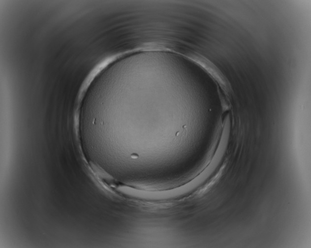 X0000086791196200705041542