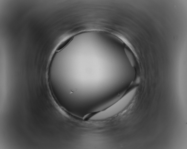 X0000086791197200705041542